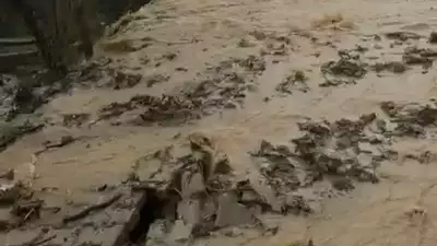 Samsun Kavak'ta sağanak ve dolu: Yollar göle döndü, evler su altında