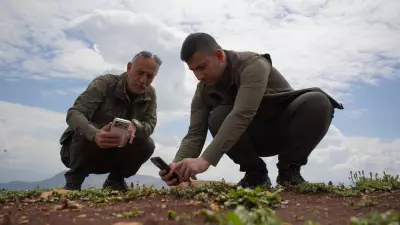 Siirt'te endemik sümbüller çiçek açtı, koparmanın cezası 699 bin TL