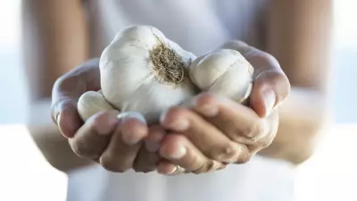 Sümer krallarının peşinde olduğu binlerce yıllık doğal antibiyotik: Sarımsak tarifleri