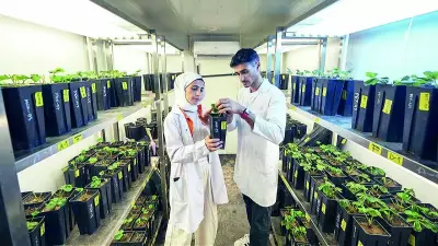 Tarım Bakanı Yumaklı: 2026'da 39 yeni tarla bitkisi çeşidi tescil edildi