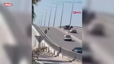 Tarsus'ta Kurbanlık Keçi Trafiği Altüst Etti
