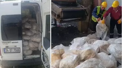 Tekirdağ'da sağlıksız sakatat ele geçirildi, 1200 kg imha edildi