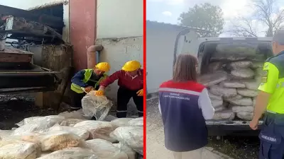Tekirdağ'da tonlarca sakatat imha edildi: Halk sağlığı tehdit altında