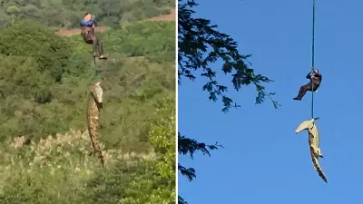 Timsahın midesinden çıkan 6 terlik kayıp vakalarını araştırıyor