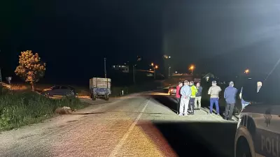 Tokat'ta Otomobil Sürüye Çarptı: 5 Koyun Telef Oldu