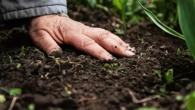 Toprak Isındıkça Karbon Kilidi Açılıyor: 37 Yıllık Deneyden Korkutan Sonuç