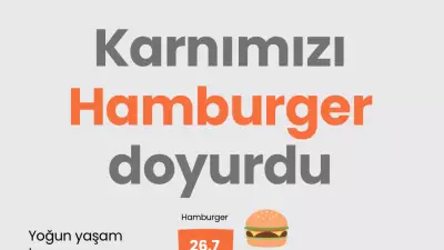 Türkiye'de Online Yemek Siparişinin Lideri Hamburger Oldu