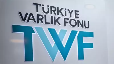 TVF'den Türkiye Sigorta'da Uluslararası Yatırımcılara Pay Arzı