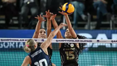 Voleybol, Türkiye'nin en başarılı branşı seçildi