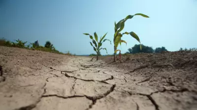 Yüzyıl Sonunda Dünya Nüfusunun Üçte Biri Aşırı Sıcak ve Kuraklıkla Karşı Karşıya