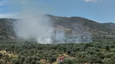 İzmir Bayındır'da Zeytinlik Yangını Kontrol Altına Alındı