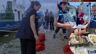 İzmir'de kaçak midye operasyonu: 7 ton su ürünü ele geçirildi