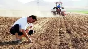 15 ilde topraksız binlerce çiftçi Hazine'den tarla sahibi oldu