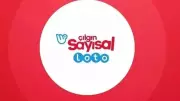 20 Mayıs Sayısal Loto Sonuçları Açıklandı! MP Bilet Sorgulama
