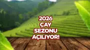 2026 Yaş Çay Taban Ücreti Ne Zaman Açıklanacak?