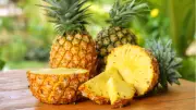300 Yıllık Gösteriş Trendi: Ananas Kiralama Dönemi