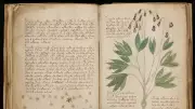 600 Yıllık Çözülemeyen Voynich El Yazması'nın Gizemi Derinleşiyor
