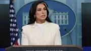 ABD Ulusal İstihbarat Direktörü Tulsi Gabbard istifa etti