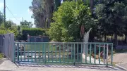 Adana'da satırlı kavga: 1 ölü, 2 yaralı