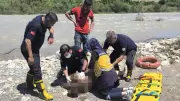 Adana'da serinlemek için girdiği suda can verdi: 10 kilometre ileride bulundu