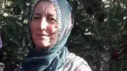 Aksaray'da 4 çocuk annesinin üzerine ağaç devrildi: Hayatını kaybetti