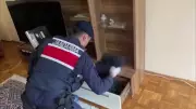 Amasya'da sahte ilanla 34 kişiyi dolandıran 11 zanlı yakalandı