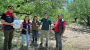 Çanakkale'de Samuray Arısı ile Kahverengi Kokarcaya Biyolojik Mücadele