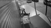 Ankara'da yaşlı adamı öldüresiye dövüp gasp eden şüpheli yakalandı