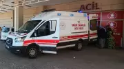 Şanlıurfa'da yılanı vururken 5 kişiyi yaraladı