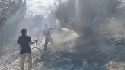 Antalya Serik'te ormanlık alanda yangın paniği