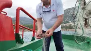 Antalya'da deniz dibinden 500 metrelik hayalet ağ çıkarıldı