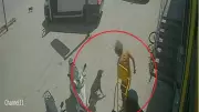 Antalya'da kediye basıp köpeği tekmeledi, gözaltına alındı