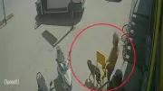 Antalya'da yabancı uyruklu şahıs kediyi ezdi, köpeği tekmeledi: Gözaltına alındı