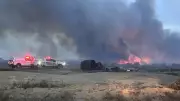 Arizona'da yangın faciası: 2 bin 200 dönüm alan kül oldu