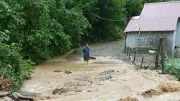 Artvin'de Taşkın ve Heyelan: Köy Yolları Ulaşıma Kapandı
