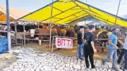 Avcılarda Kurbanlık Stoku Tükendi, Fiyatlar Yükseldi
