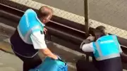 Avcılar'da metrobüs bariyerlerinde mahsur kalan kedi kurtarıldı