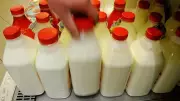 Ayran ve kefir üretimi martta yüzde 19 arttı, inek sütü toplama miktarı açıklandı