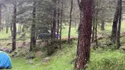 Bolu'da Piknik Faciası: Yıldırım Düştü, 3 Yaralı