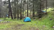 Bolu'da Piknik Yaparken Yıldırım Dehşeti: 1'i Ağır 3 Yaralı