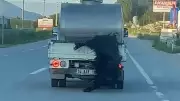 Bolu'da süt aracıyla canlı kurbanlık taşıyan sürücüye 31 bin lira ceza