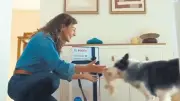 Bosch'un Anneler Günü Reklamı Skandalı: Köpek Vurgusu Tepki Çekti