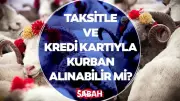 Diyanet açıkladı: Kredi kartı ve taksitle kurban alınabilir mi?