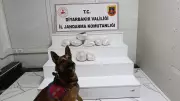 Diyarbakır'da dev uyuşturucu operasyonu: 150 şüpheliye işlem