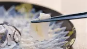 Doğru Pişirilmezse Ölüme Yol Açıyor! Dünyanın En Tehlikeli Lezzeti: Fugu Balığı