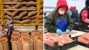 Doğu Karadeniz'den 2026'da ilk 4 ayda 678 milyon dolarlık ihracat