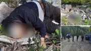Düzce'de yaylada bıçaklanmış erkek cesedi bulundu
