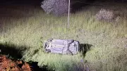 Elazığ'da domuza çarpan otomobil devrildi: 5 yaralı