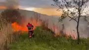 Elazığ'da otluk alanda yangın paniği