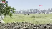 Esenyurt'ta Kaçak Kurban Kesimine Zabıta Müdahalesi: Cezalar Kesildi